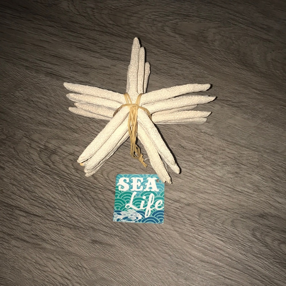 Starfish decorative